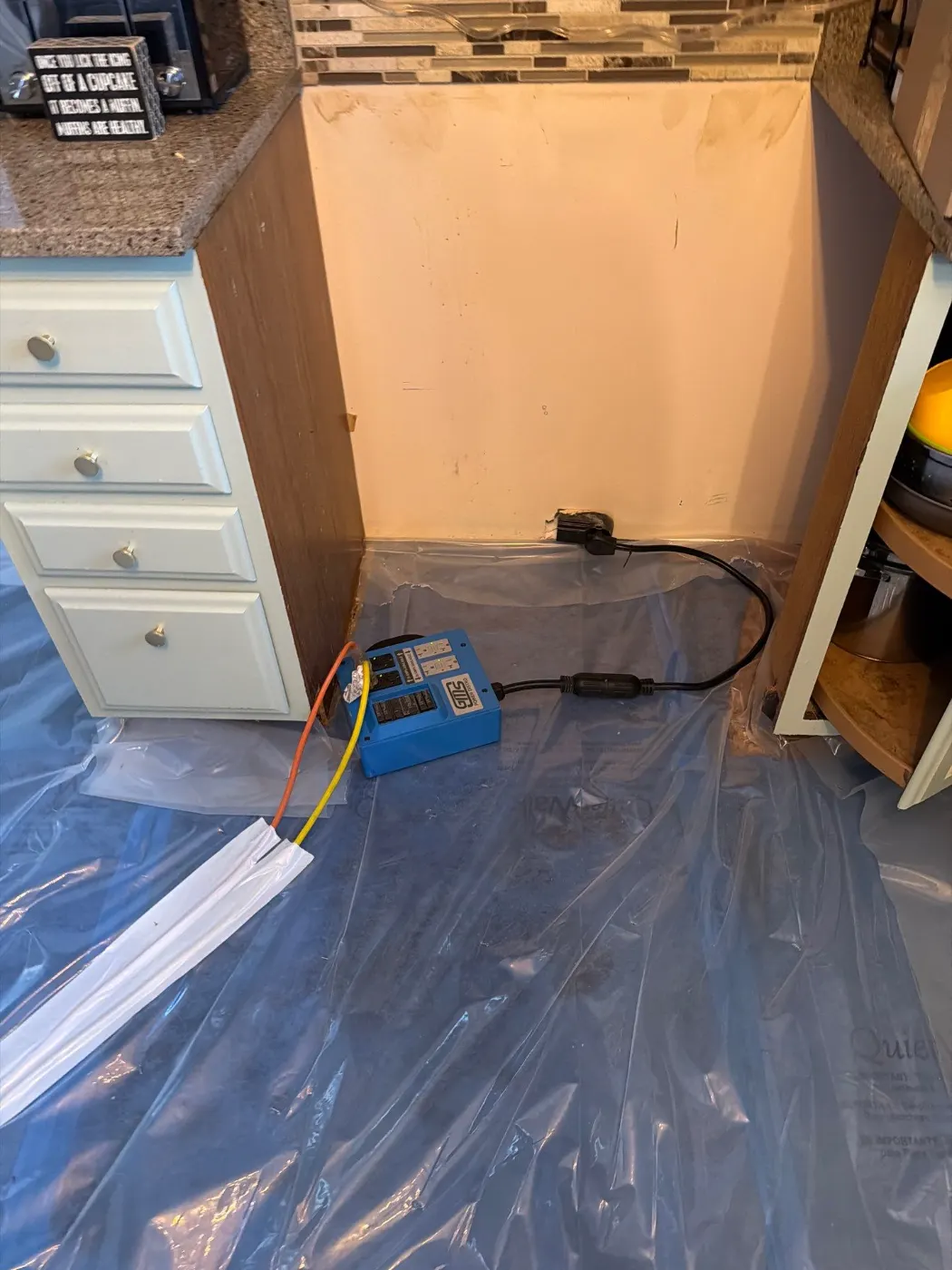 Category 3 sewage cleanup in Holiday Hills basement