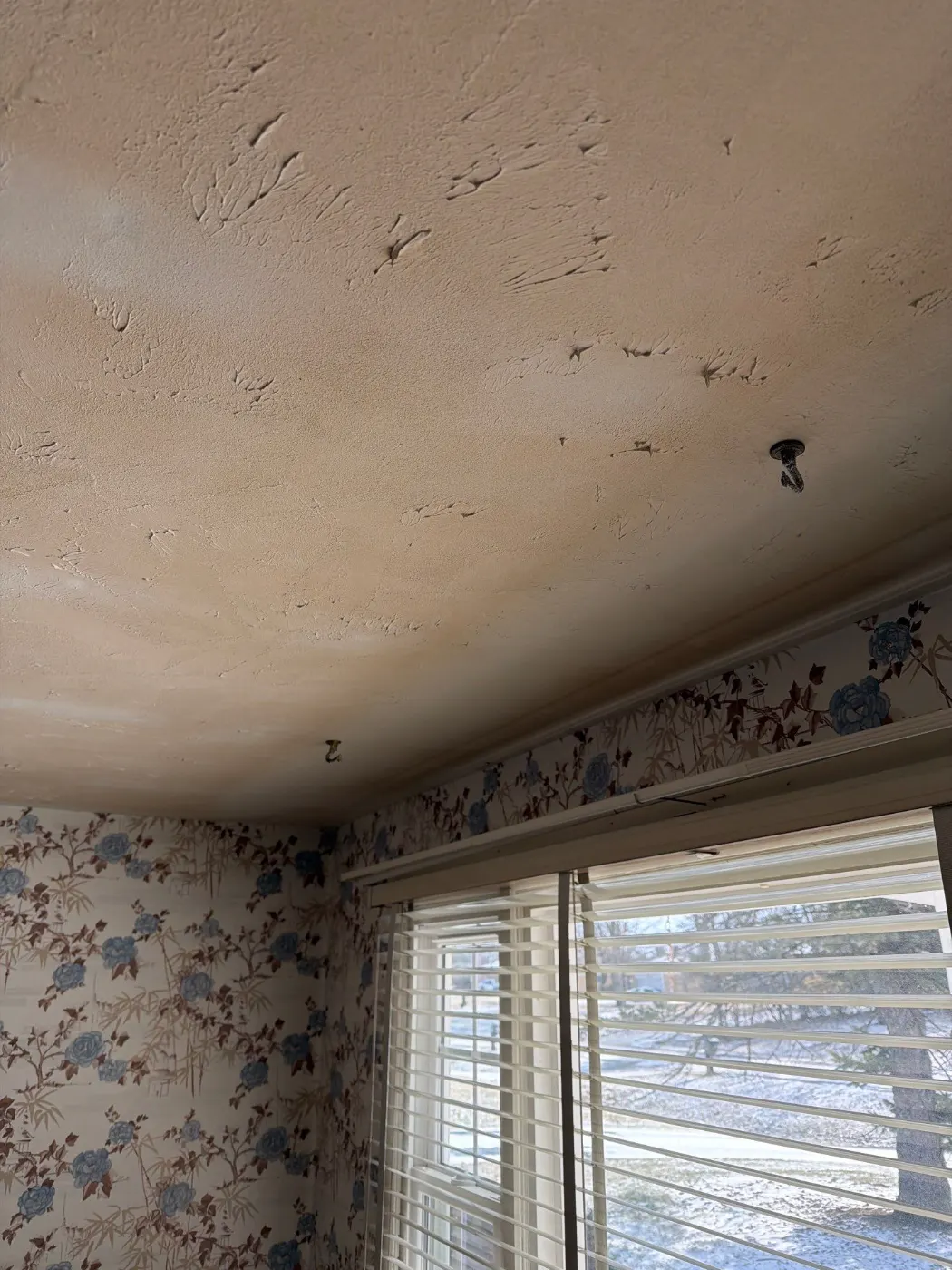 Moisture meter reading on drywall in Holiday Hills water loss